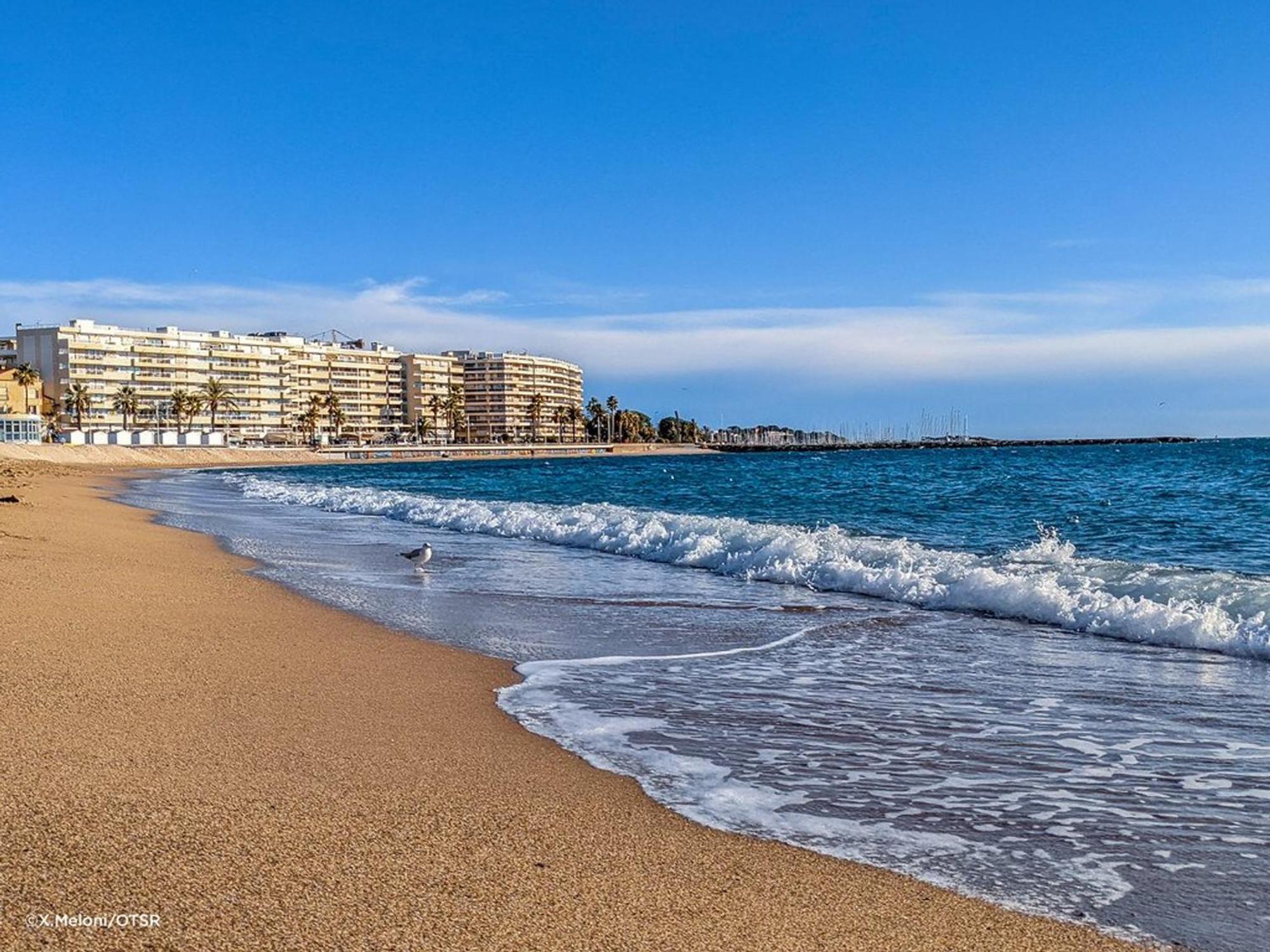 Appartement 2P, 4 Couchages, Terrasse Et Salon De Jardin A 200M De La Plage, Frejus - Fr-1-226A-22 Eksteriør bilde